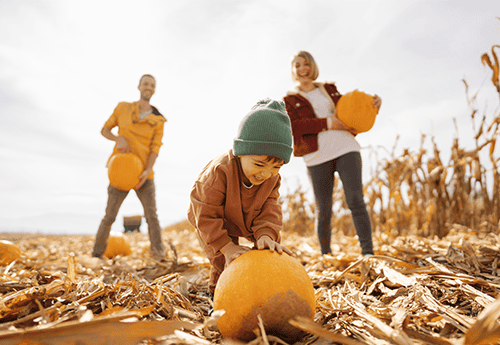 image of a family picking pumpkins at a farm